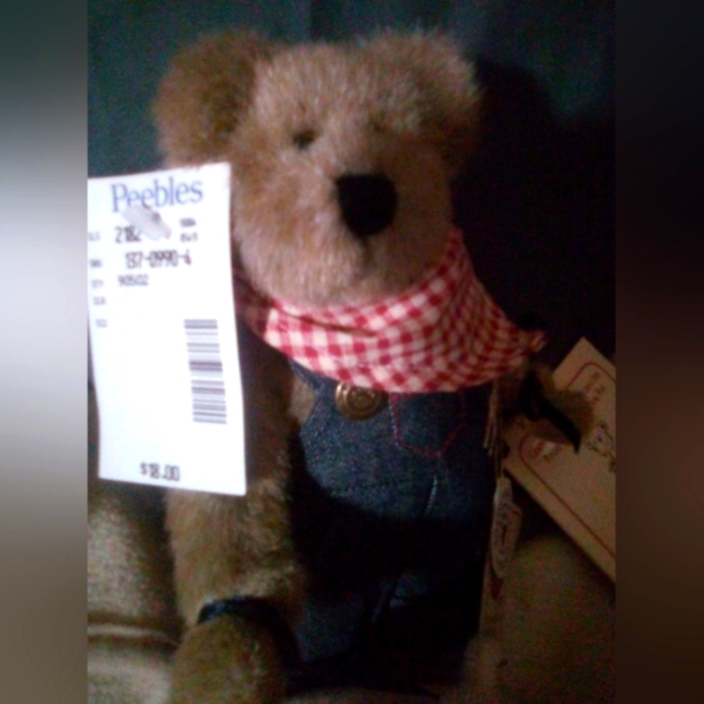 Peebles Boyd's bear